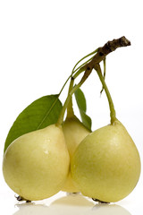 pear