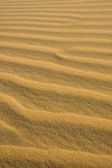 Waves of sand in the desert