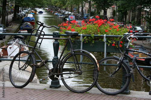 Obraz na płótnie canvas Rower i kwiat w Amsterdamie