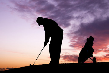 Wall Mural - golfer