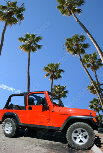 czerwoni-samochodowi-drzewka-palmowe-i-niebieskie-niebo