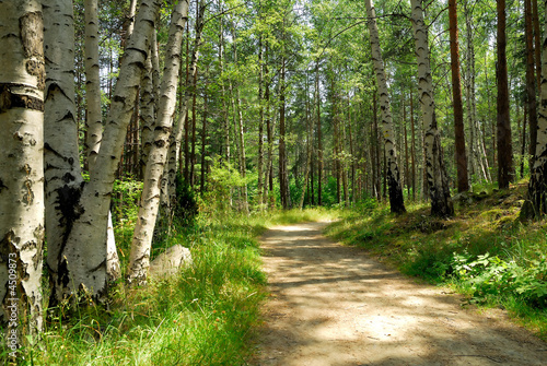 Naklejka na szybę In the park