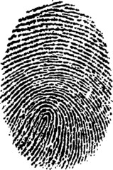 Vector finger print.