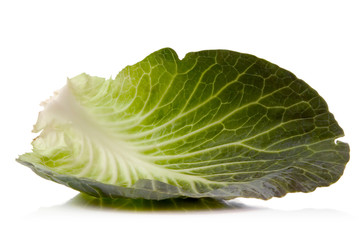 Sticker - green cabbage