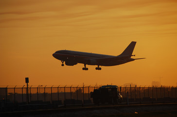 Wall Mural - Passenger airplane landing at dawn