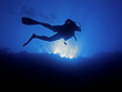 canvas print picture - Scuba diver from below