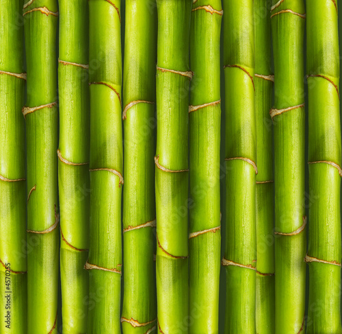 Foto-Leinwand ohne Rahmen - Bamboo background (von Vivid Pixels)