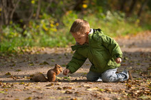 Little Boy And Squirrel