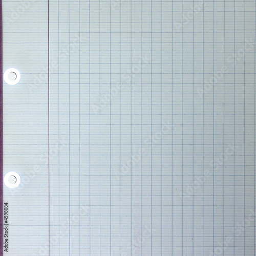 Partie De Feuille De Classeur Avec Oeillets Et Lisere Stock Photo Adobe Stock