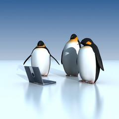 penguins