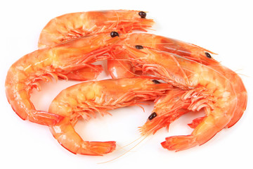 Wall Mural - King Prawns