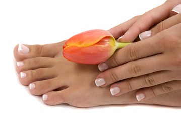 Wall Mural - Pedicure and Manicure