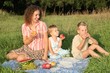 © Pavel Losevsky - family on picnic