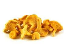 Chanterelles Isolated
