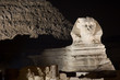 The Great Sphinx by Night - Giza Plateau