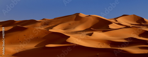 Plakat na papierze fotorealistycznym Crepuscule du desert