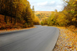 Fototapeta  - autumn road