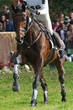 horse and rider following eventing track