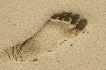 Footprint On A Sandy Beach
