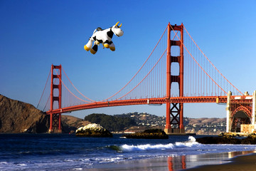 Fototapete - cow over the golden gate