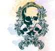 Floral skull illustration