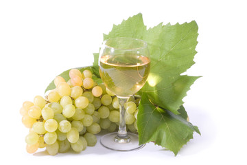 Wall Mural - white wine