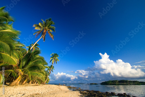 Foto-PVC Boden - Beautiful tropical beach paradise (von Tommy Schultz)