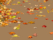 Illustrated Autumn Leaves