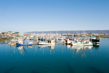 Fishing boats