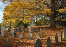 Old Cemetery In October