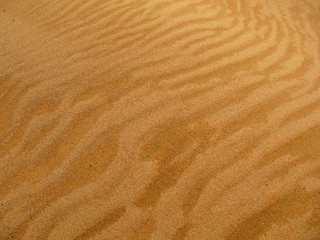 Wall Mural - sand background