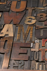 Wall Mural - Wood type