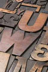 Wall Mural - Wood type 3