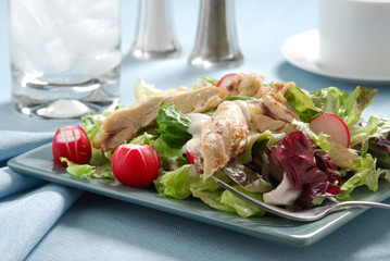 Poster - Chicken Salad