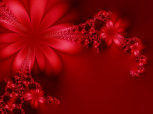 Dreamlike Flowers