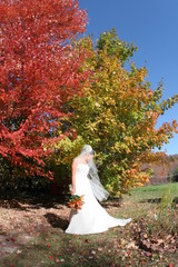 Canvas Print - fall bride white dress beautiful autumn color 