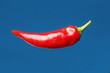 © Stocksnapper - Pepper
