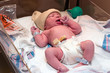 © Vivid Pixels - Newborn baby resting in hospital