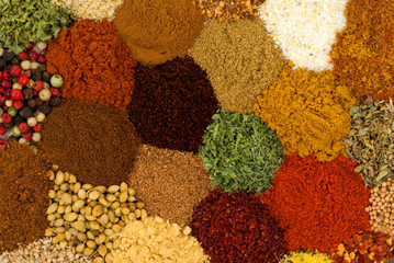 Poster - Spices and Herbs