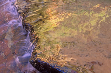 Left Fork North Creek Zion National Park