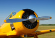 Front view of propeller airplane
