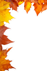 Wall Mural - Autumn corner
