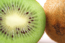 Kiwi Close-up