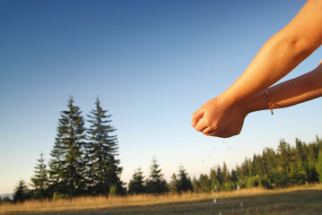 Wall Mural - fresh water falling on children hands