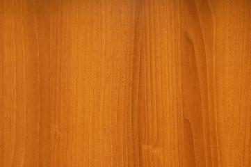 Wall Mural - Texture of the wood to serve as  background