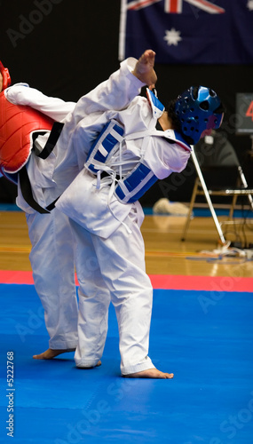 Naklejka samoprzylepna Taekwondo