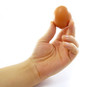 Egg in the hand