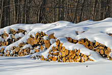 Snow Covered Wood