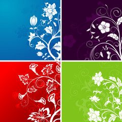 Wall Mural - Set flower background, element for design, vector illustration