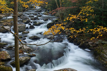 Autumn Cascade Great Smoky Mountains National Park